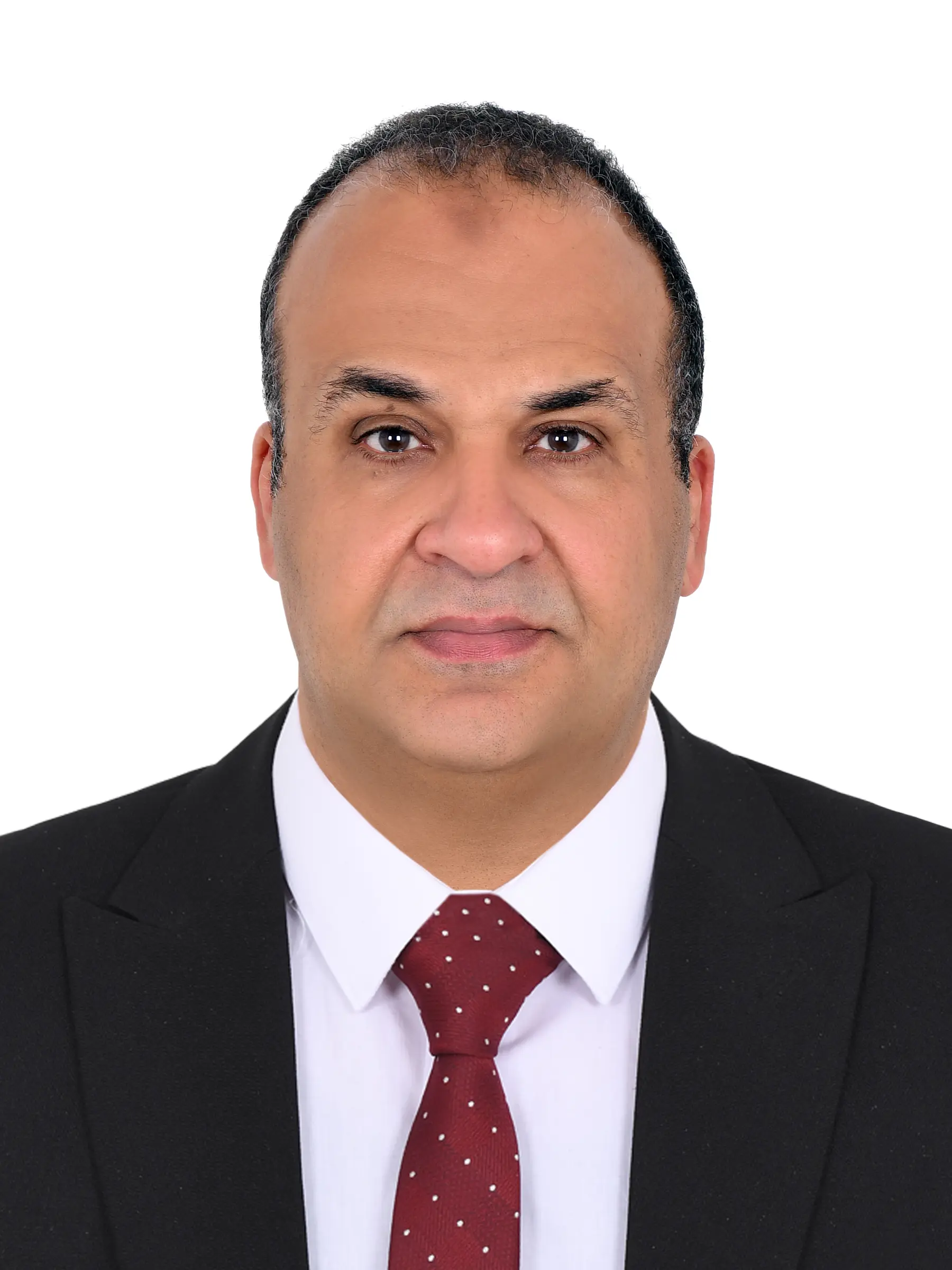 Mustafa El Sayed Ahmed Al Bhansawi