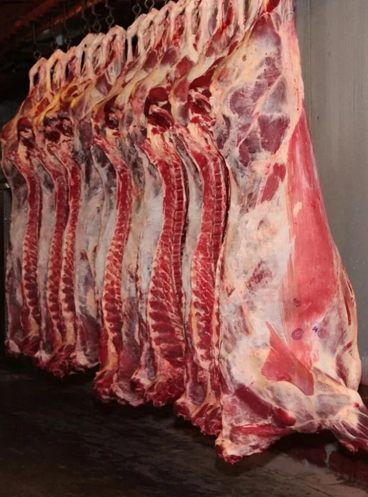 frozen-halal-buffalo-meat-1000x1000